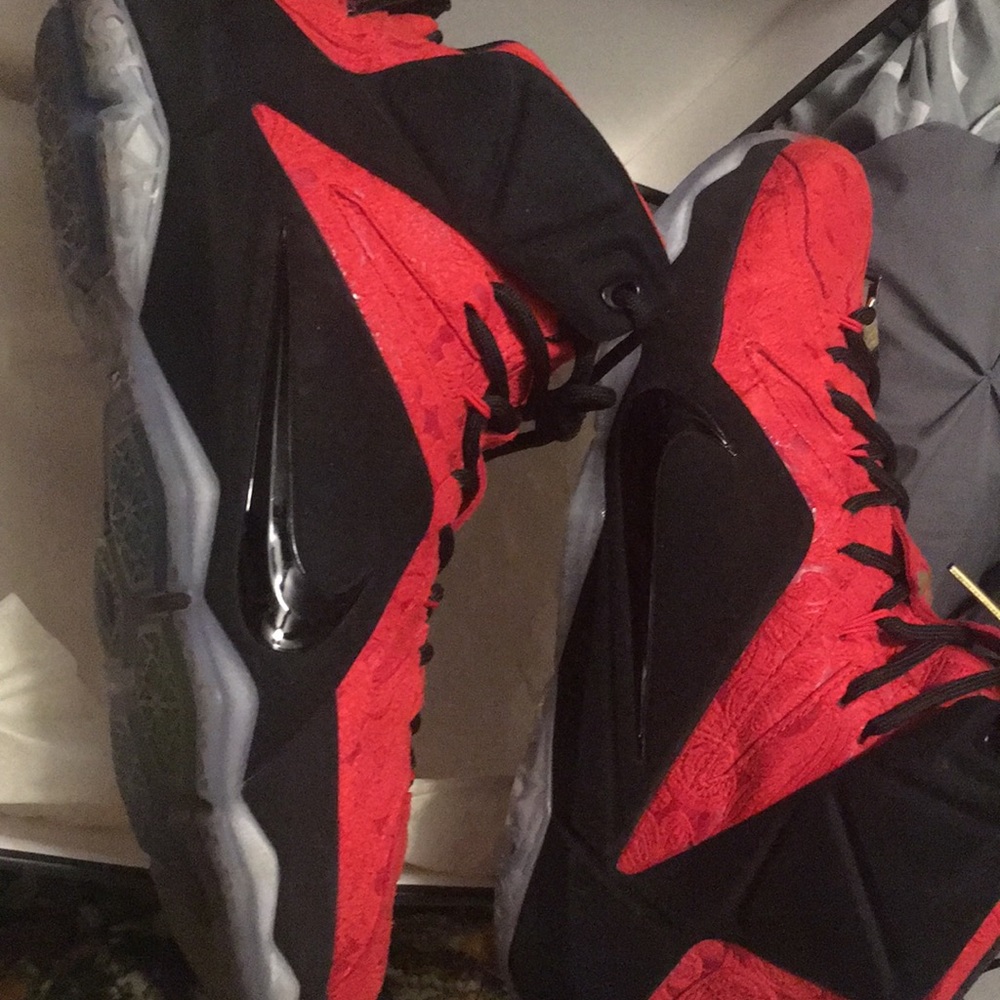 Lebron 12EXt “red paisley “